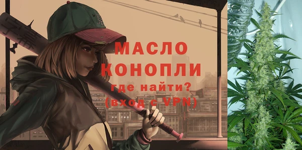 мдпв Елабуга