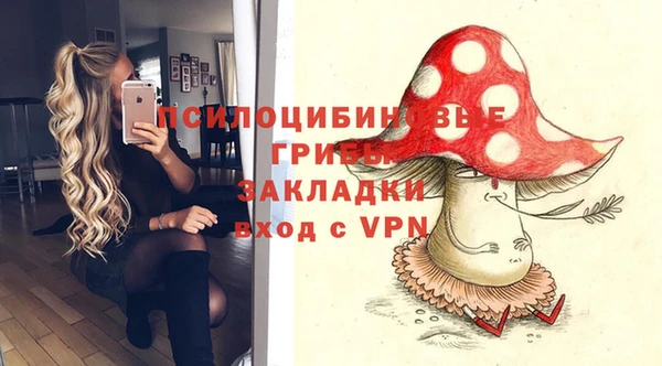 сатива Алексеевка