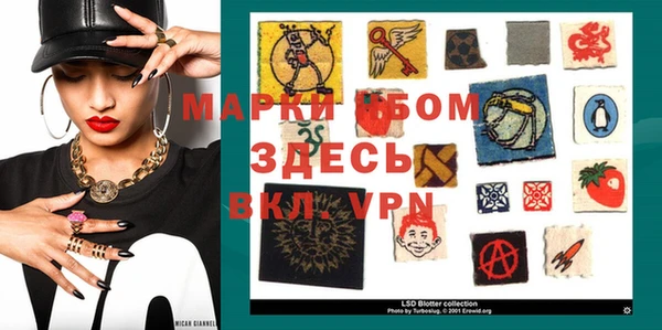 стафф Елизово